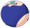 Hikaru 