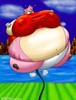 amy_rose_inflated